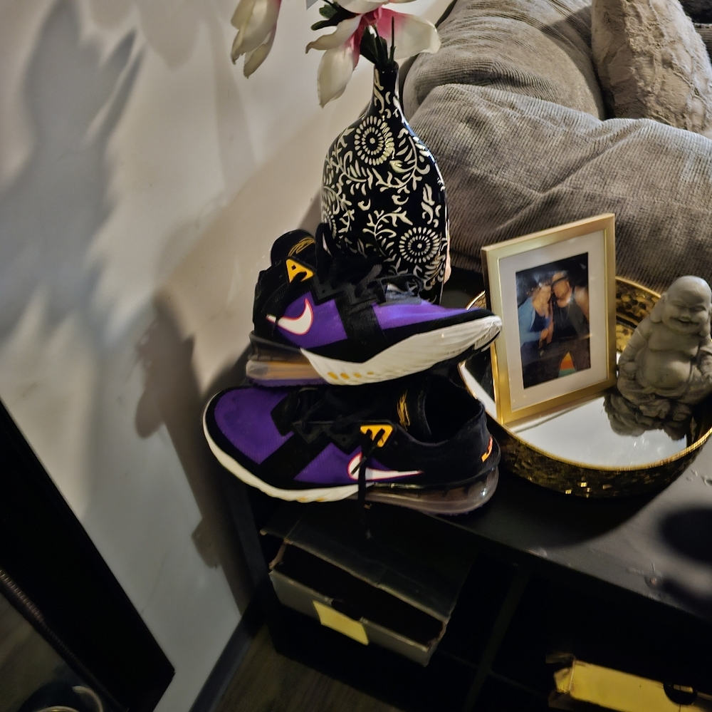 Lebrons - Picture 3 of 3